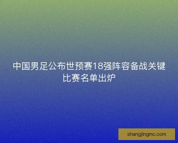 中国男足公布世预赛18强阵容备战关键比赛名单出炉