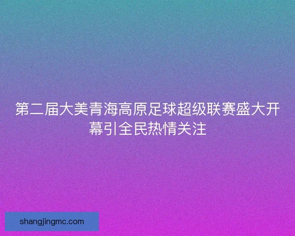 第二届大美青海高原足球超级联赛盛大开幕引全民热情关注 第二届大美青海高原足球超级联赛盛大开幕引全民热情关注