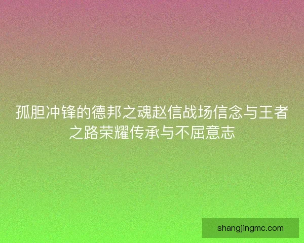 孤胆冲锋的德邦之魂赵信战场信念与王者之路荣耀传承与不屈意志